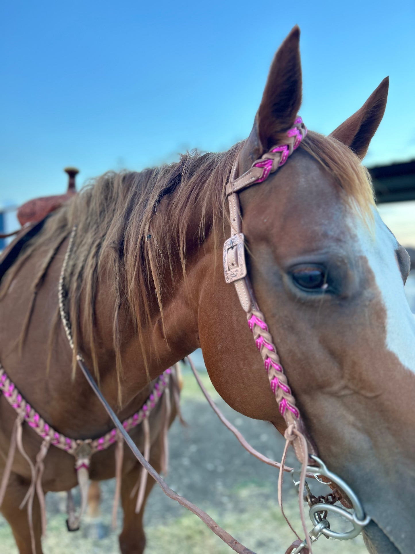 Rockstar Reins Blood Knot Tack Sets