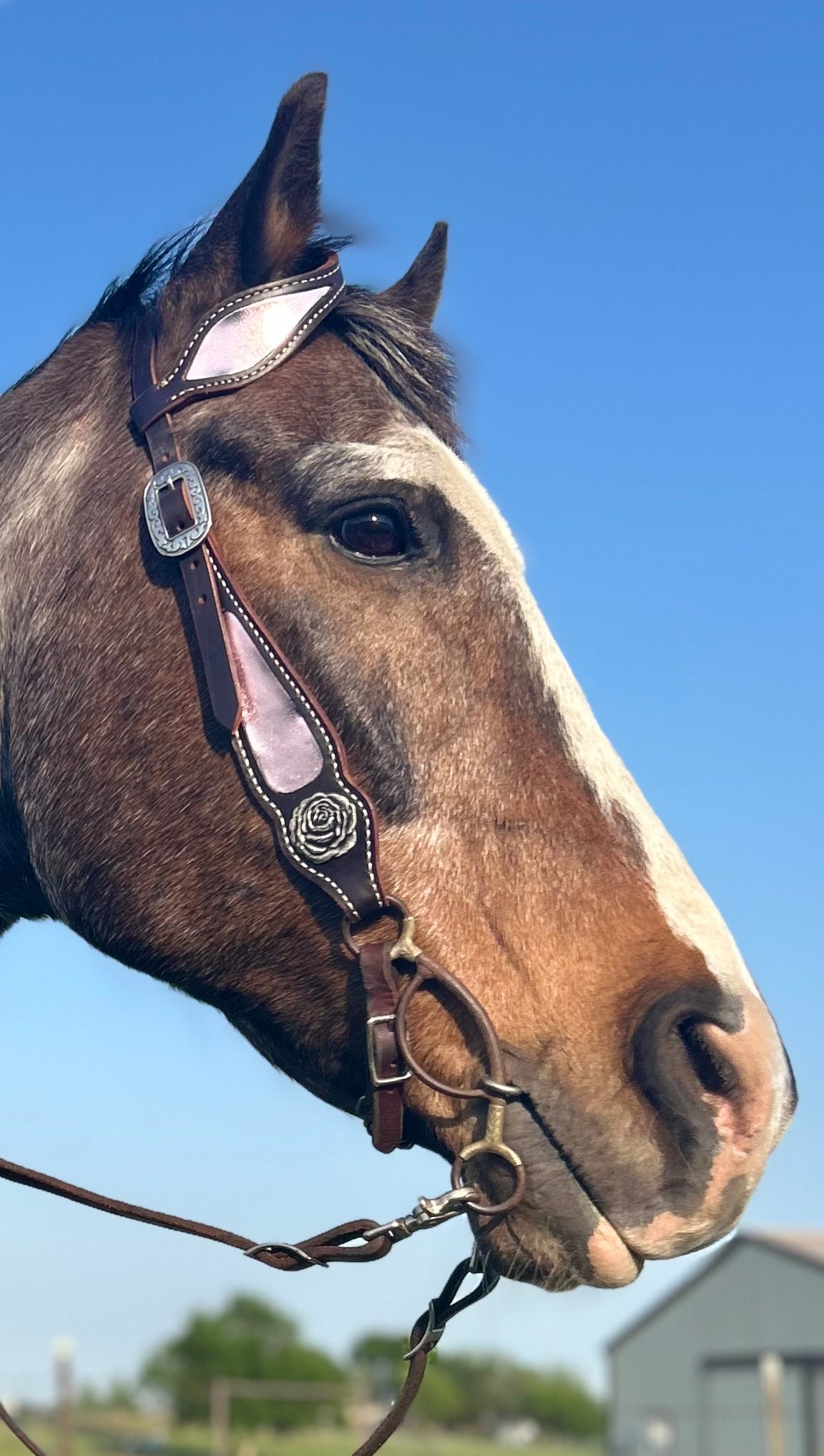 SmarTack Gen 1 Inlays - Headstall (Horse Size)