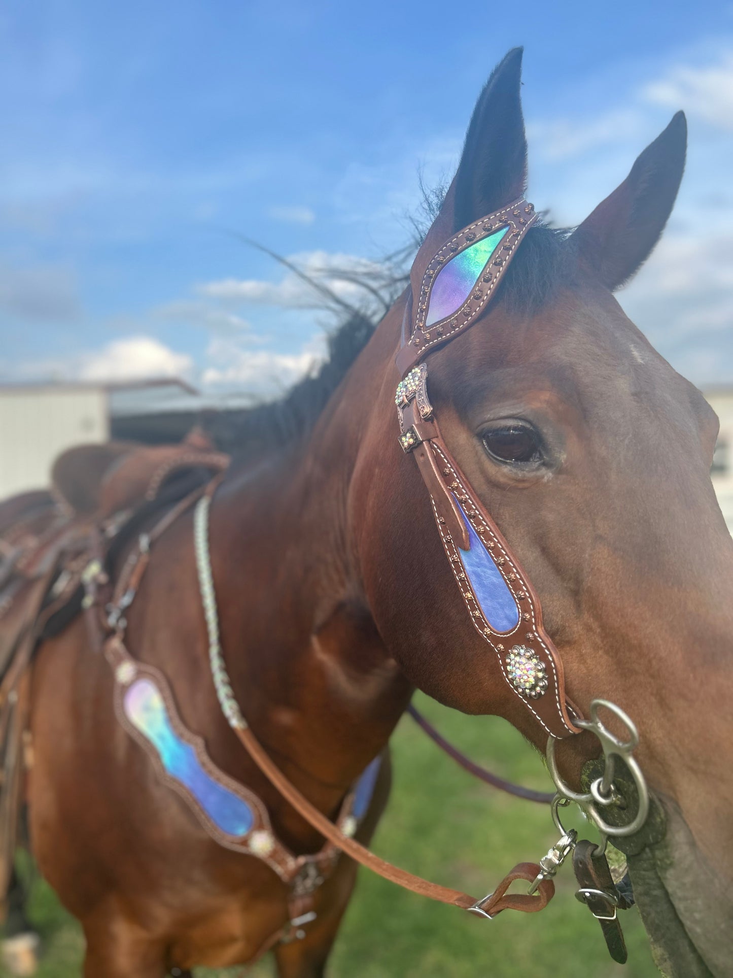 SmarTack Gen 2 "La Reina" - Complete Set Inlays (Breast Collar, Wither Strap, and One Ear Headstall)