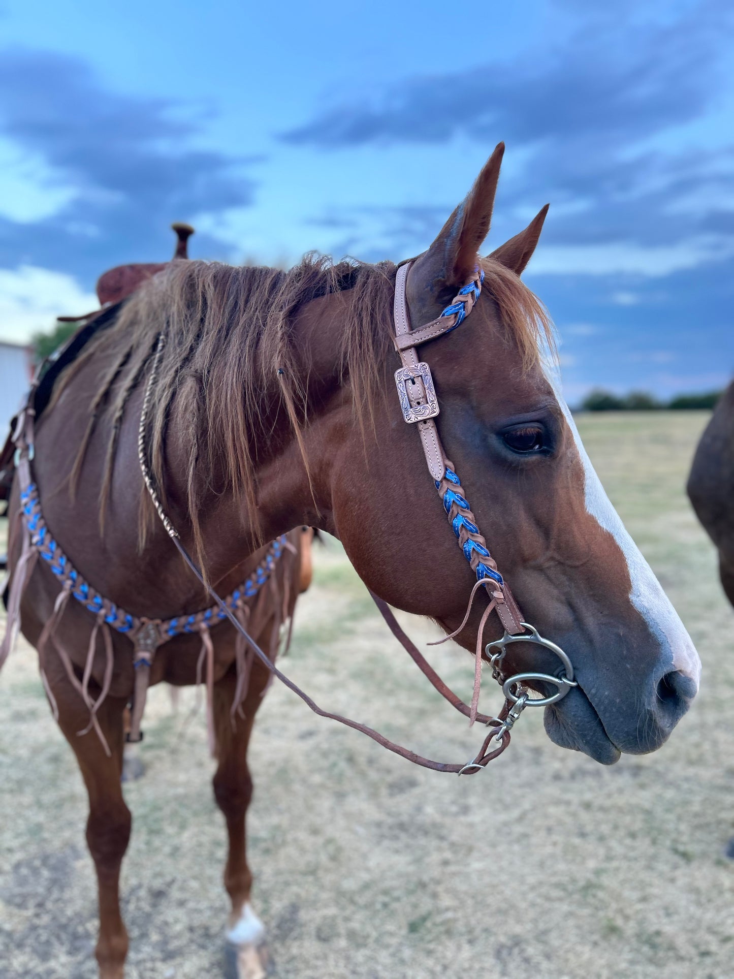 Rockstar Reins Blood Knot Tack Sets