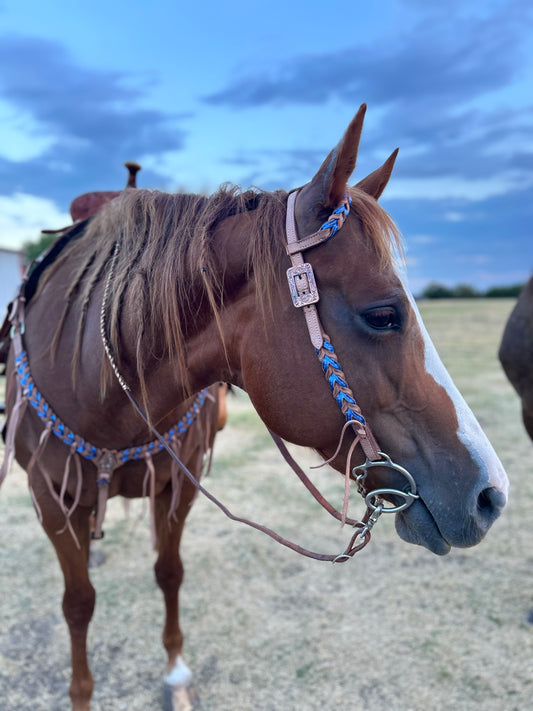Rockstar Reins Blood Knot Tack Sets