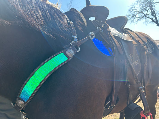Wickedly Western Tack and Saddle Pad Bundle