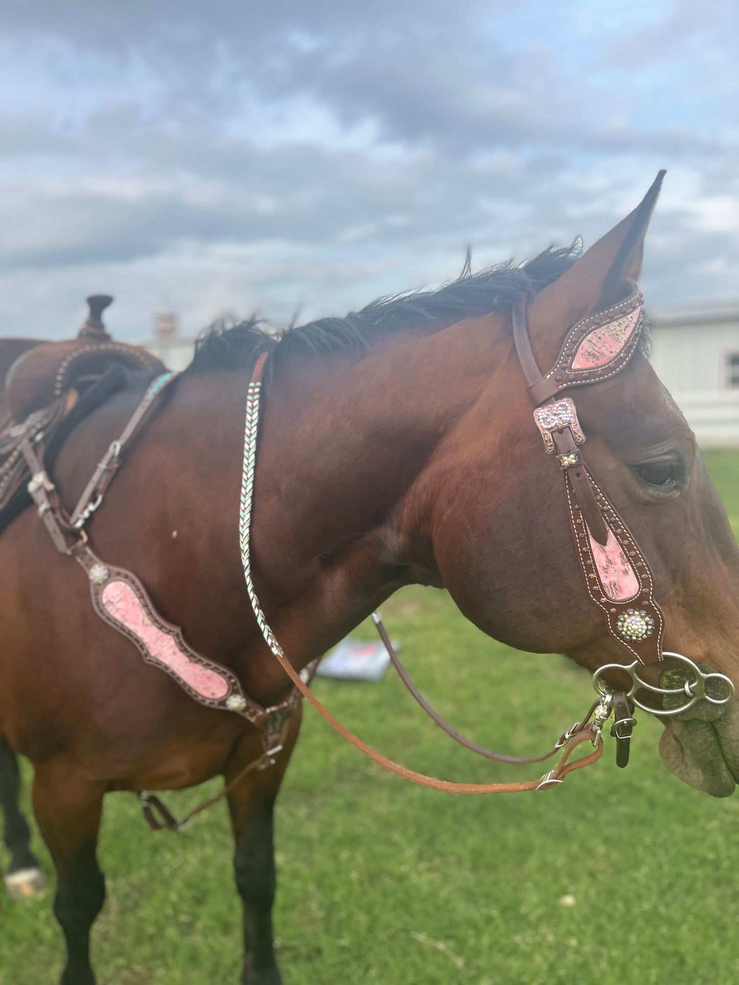 SmarTack Gen 2 "La Reina" - Complete Set Inlays (Breast Collar, Wither Strap, and One Ear Headstall)