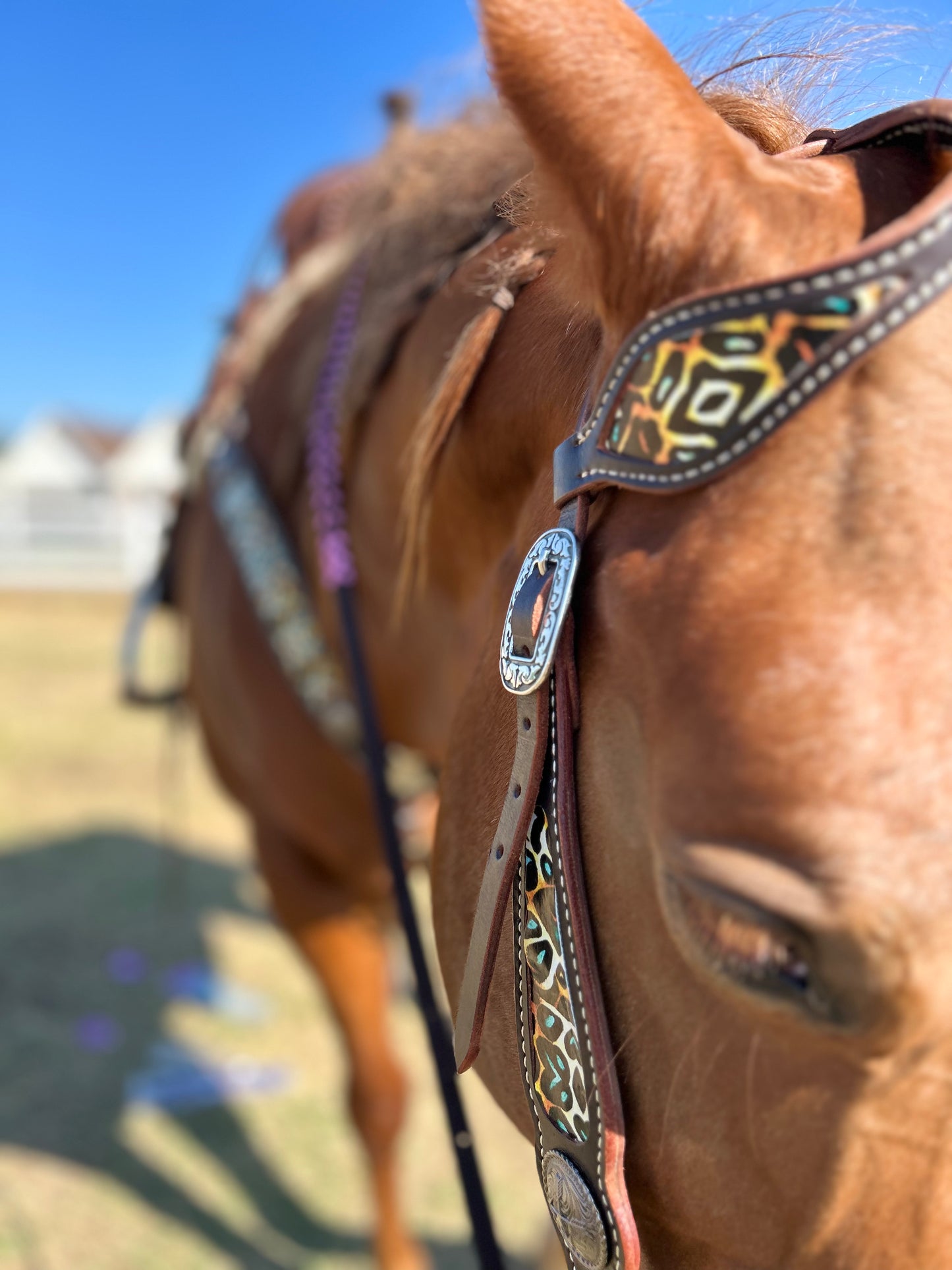 SmarTack Gen 1 Inlays - Headstall (Horse Size)