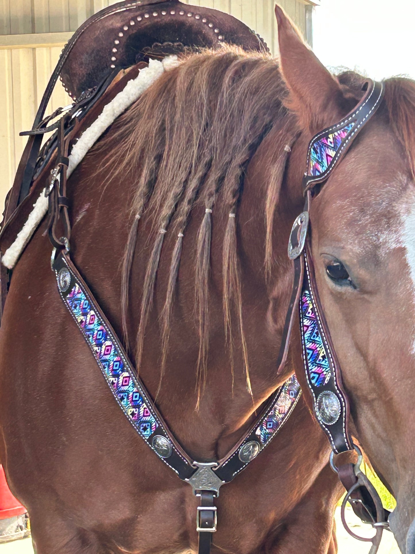 SmarTack Gen 1 Inlays - Headstall (Horse Size)
