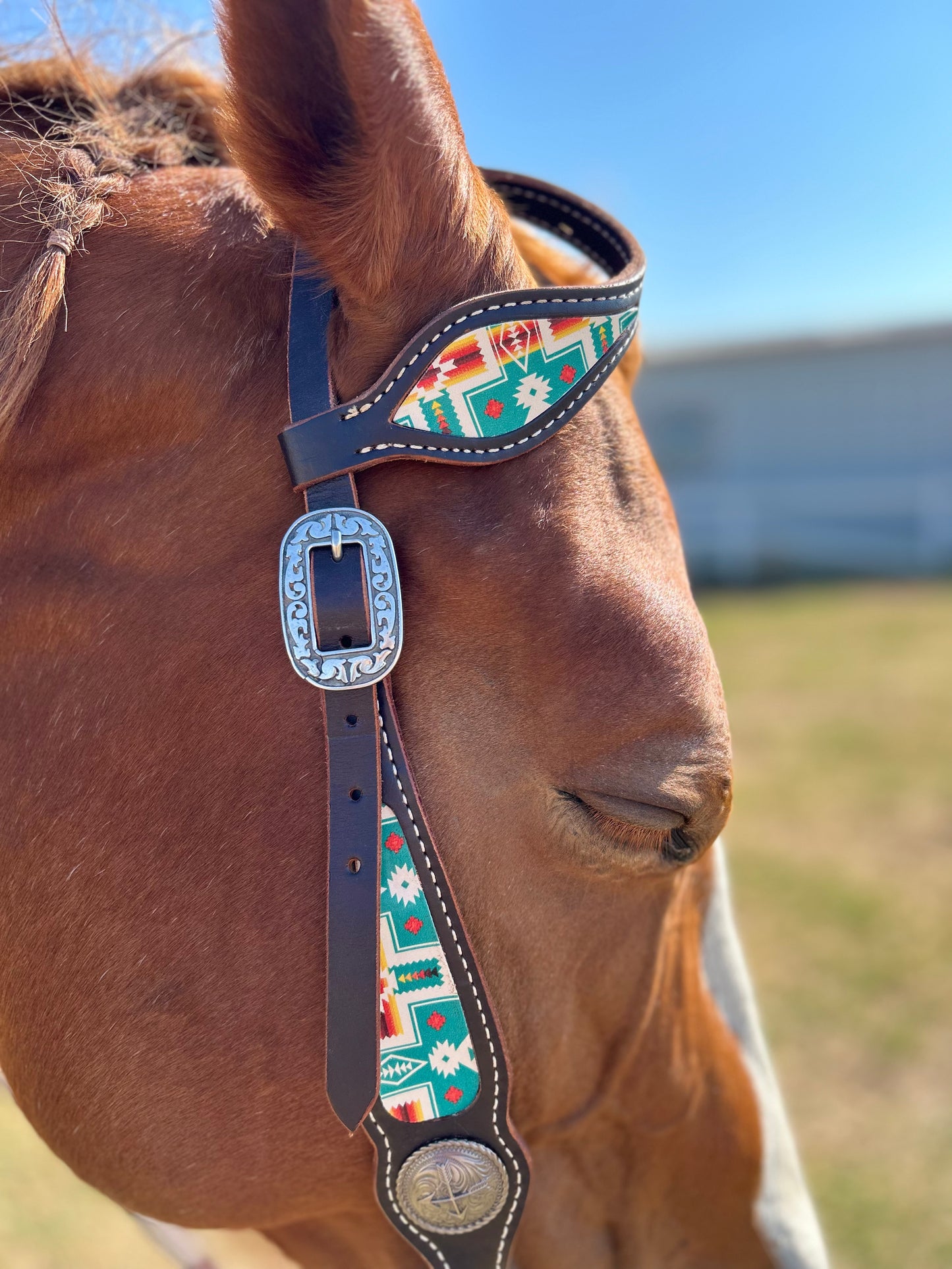SmarTack Gen 1 Inlays - Headstall (Horse Size)