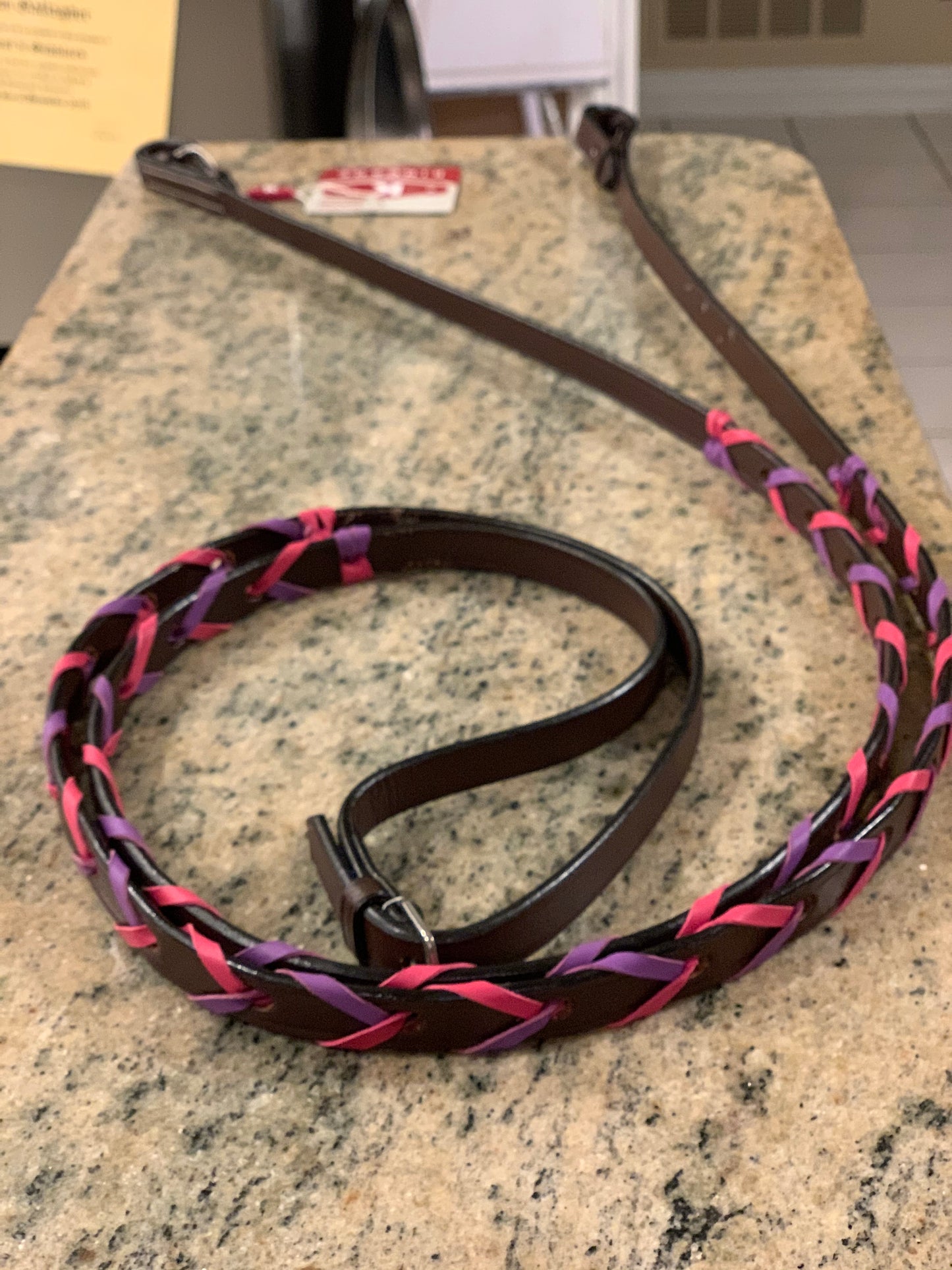 english reins