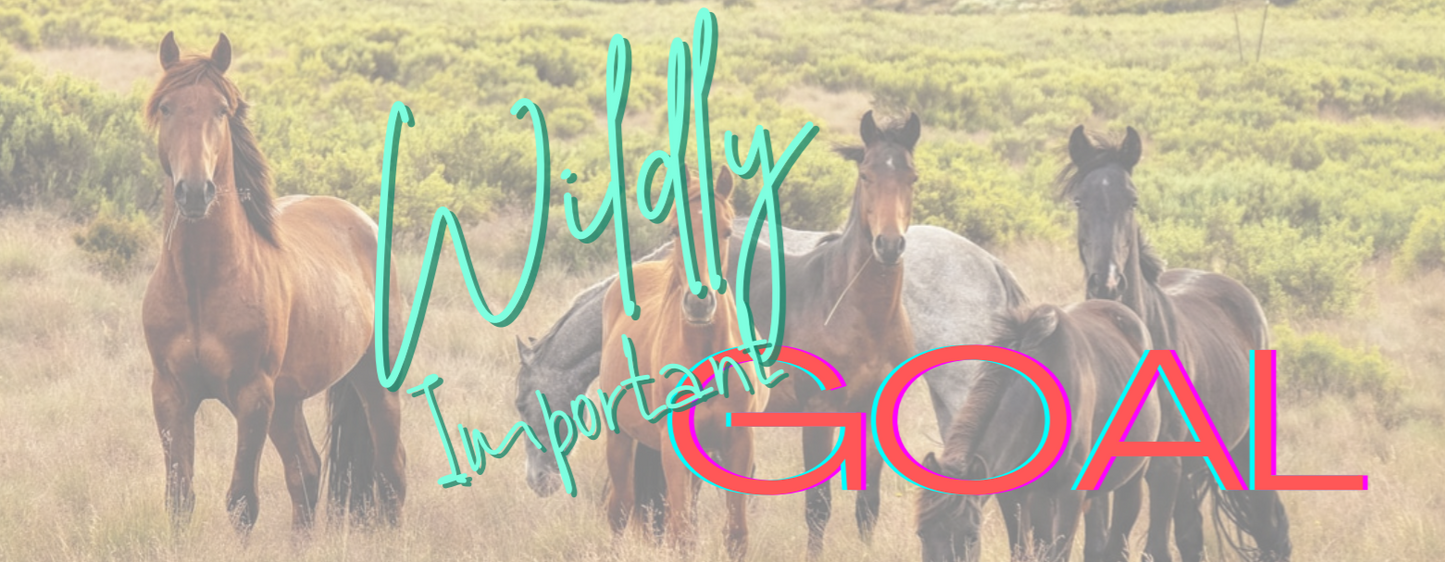 Wildly Important Goal Planner