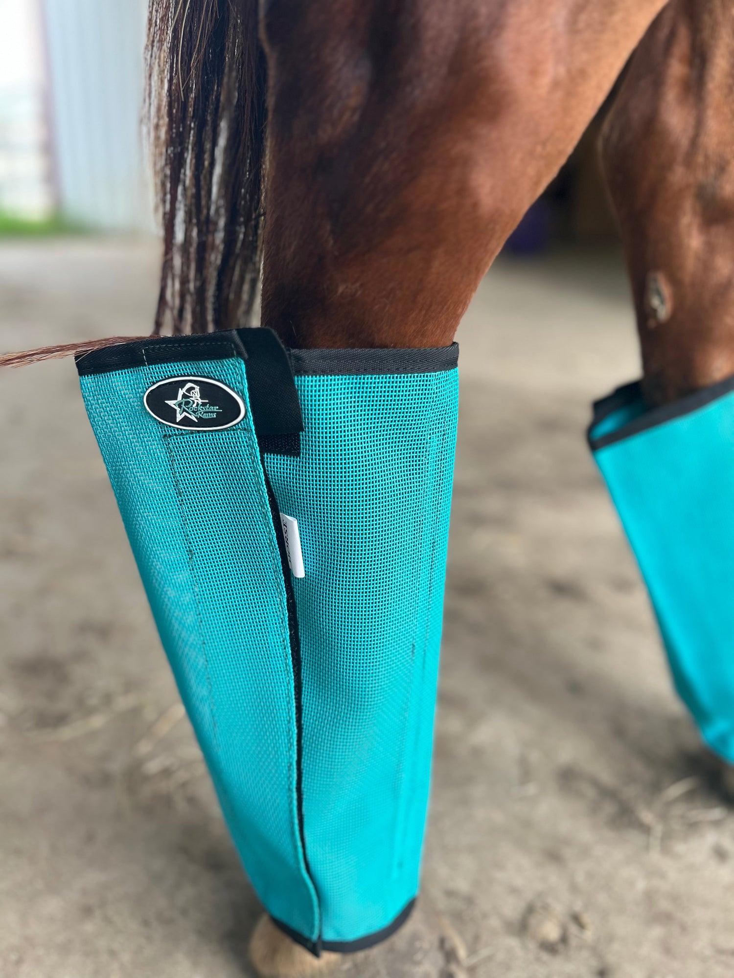 Fly Protection