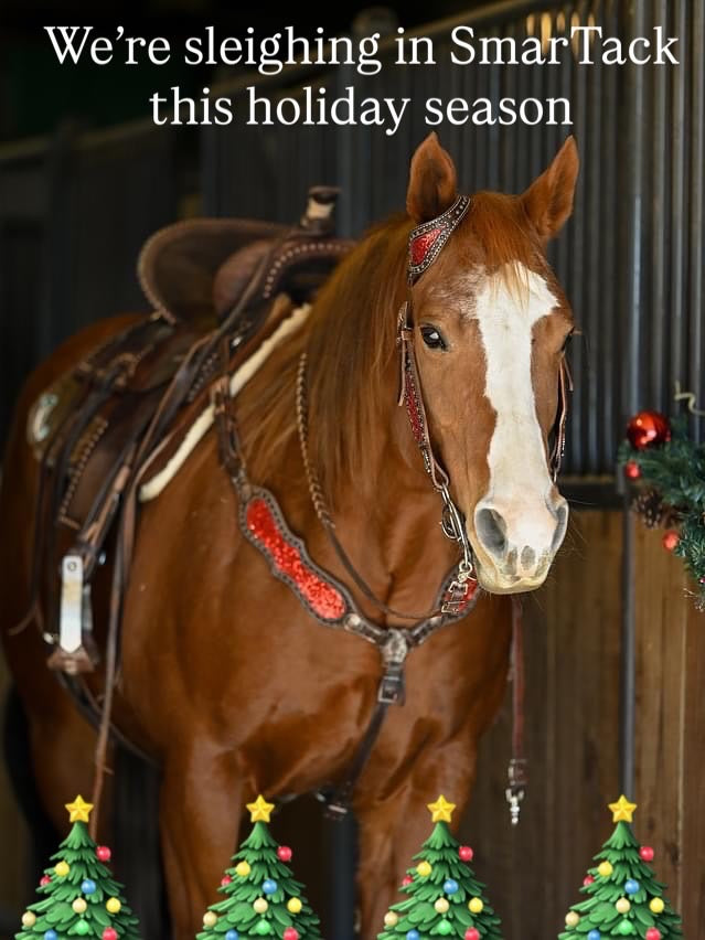 Black Friday Bundles