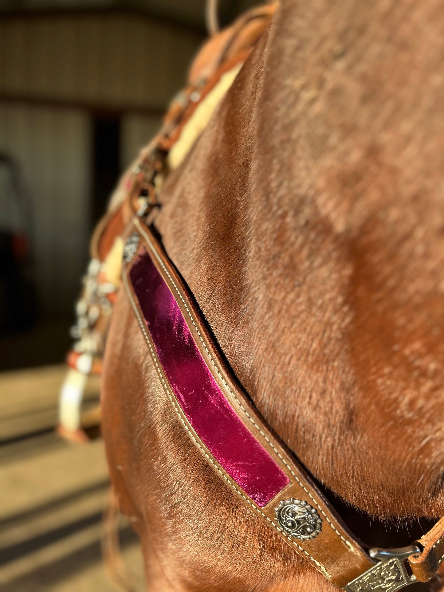 SmarTack Gen 1 Inlays - Breast Collar and Wither Strap (Horse Size)