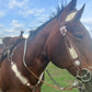 SmarTack Gen 2 "La Reina" - Complete Set Inlays (Breast Collar, Wither Strap, and One Ear Headstall)