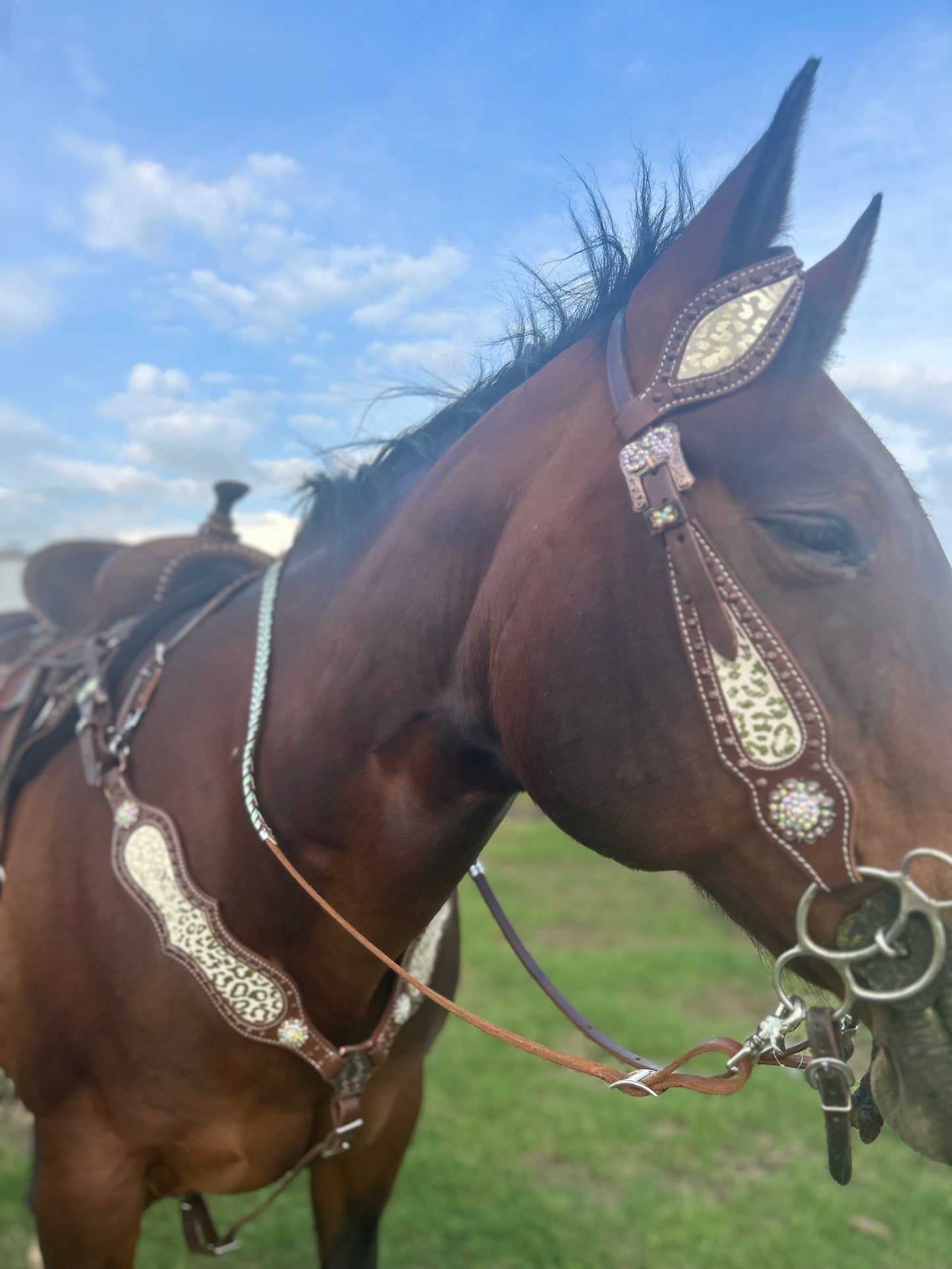 SmarTack Gen 2 "La Reina" - Complete Set Inlays (Breast Collar, Wither Strap, and One Ear Headstall)