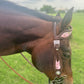 SmarTack Gen 2 "La Reina" Inlays - Headstall (Horse Size)