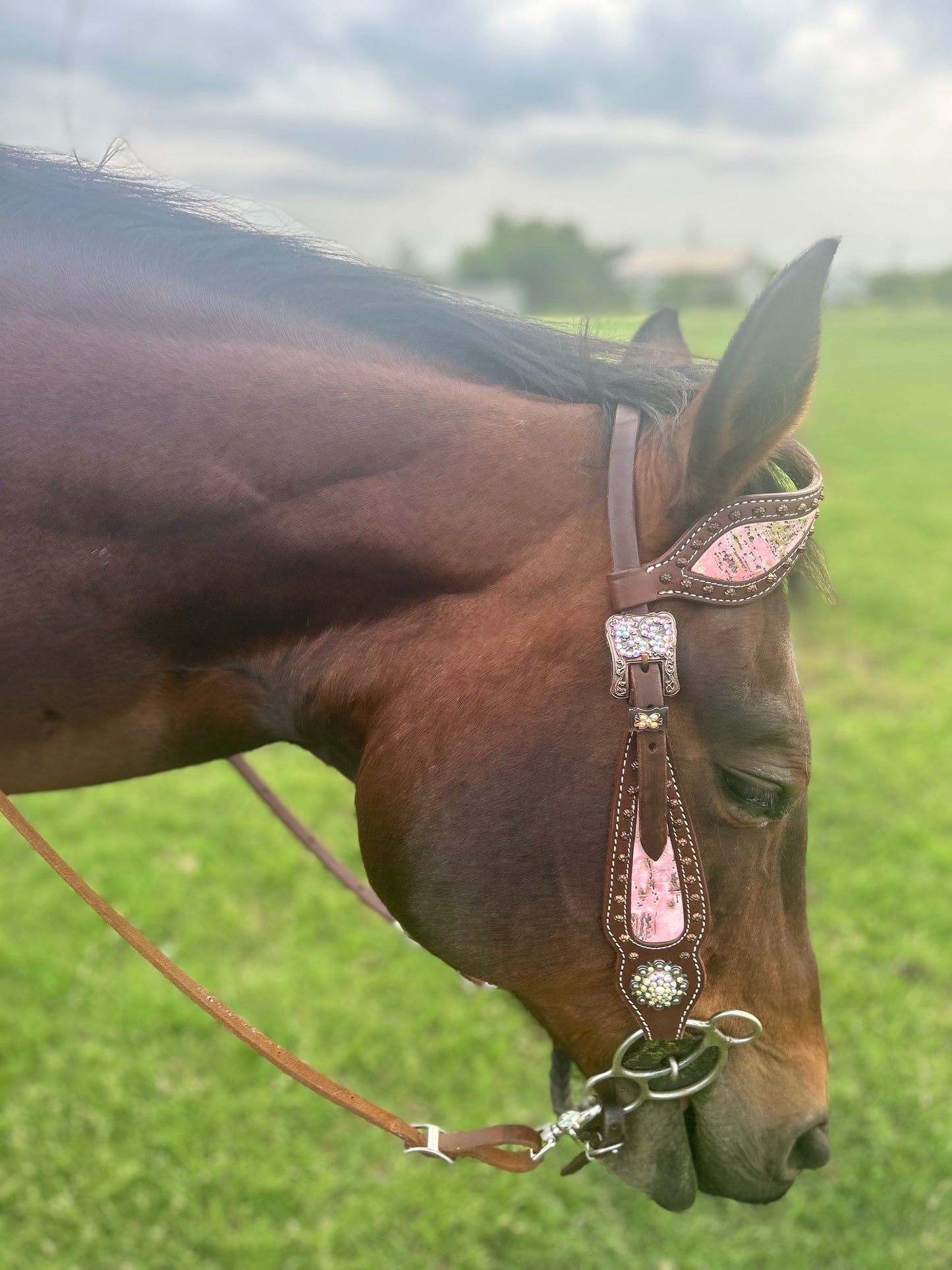 SmarTack Gen 2 "La Reina" Inlays - Headstall (Horse Size)
