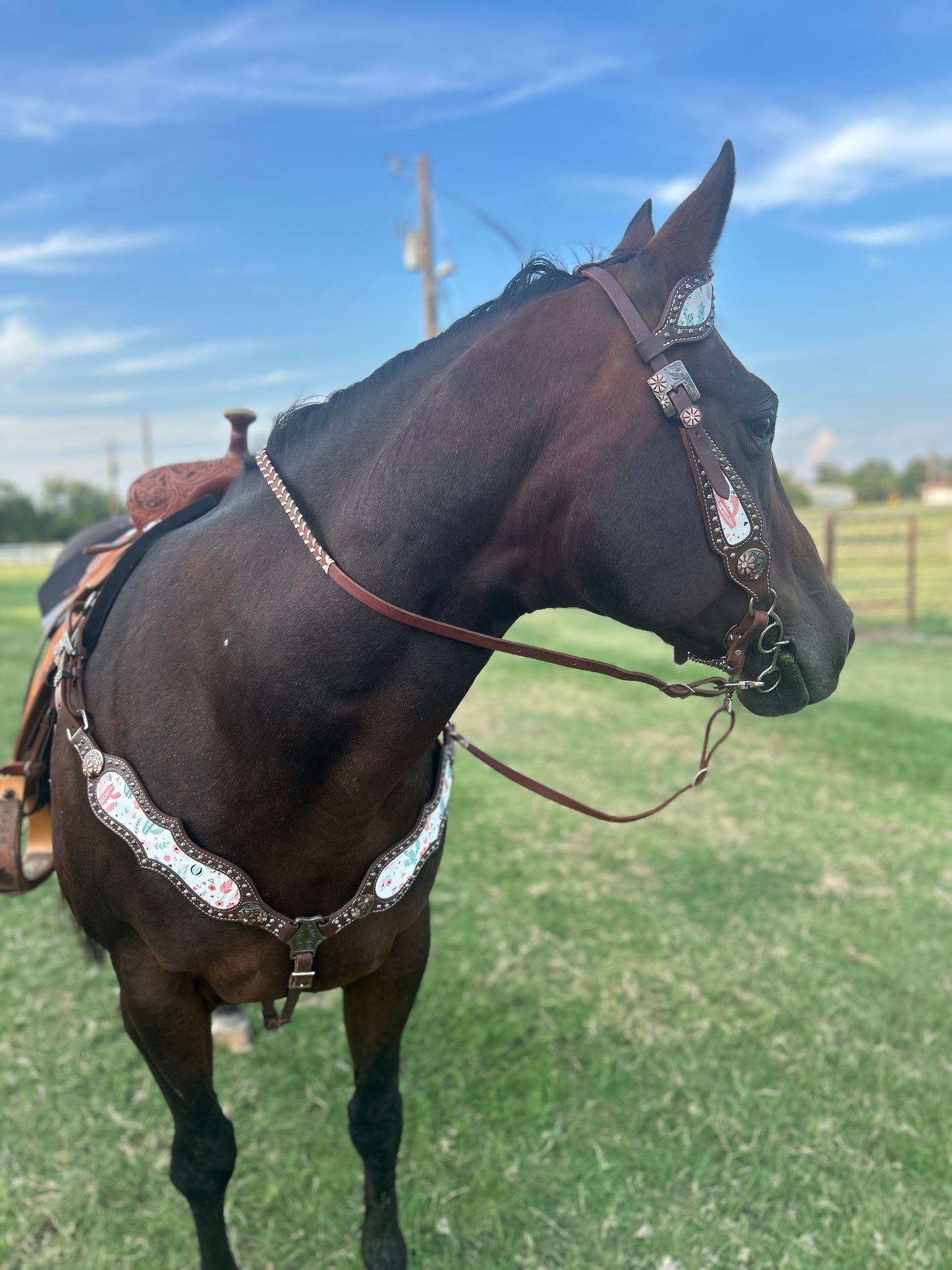 SmarTack Face - Desert Rose