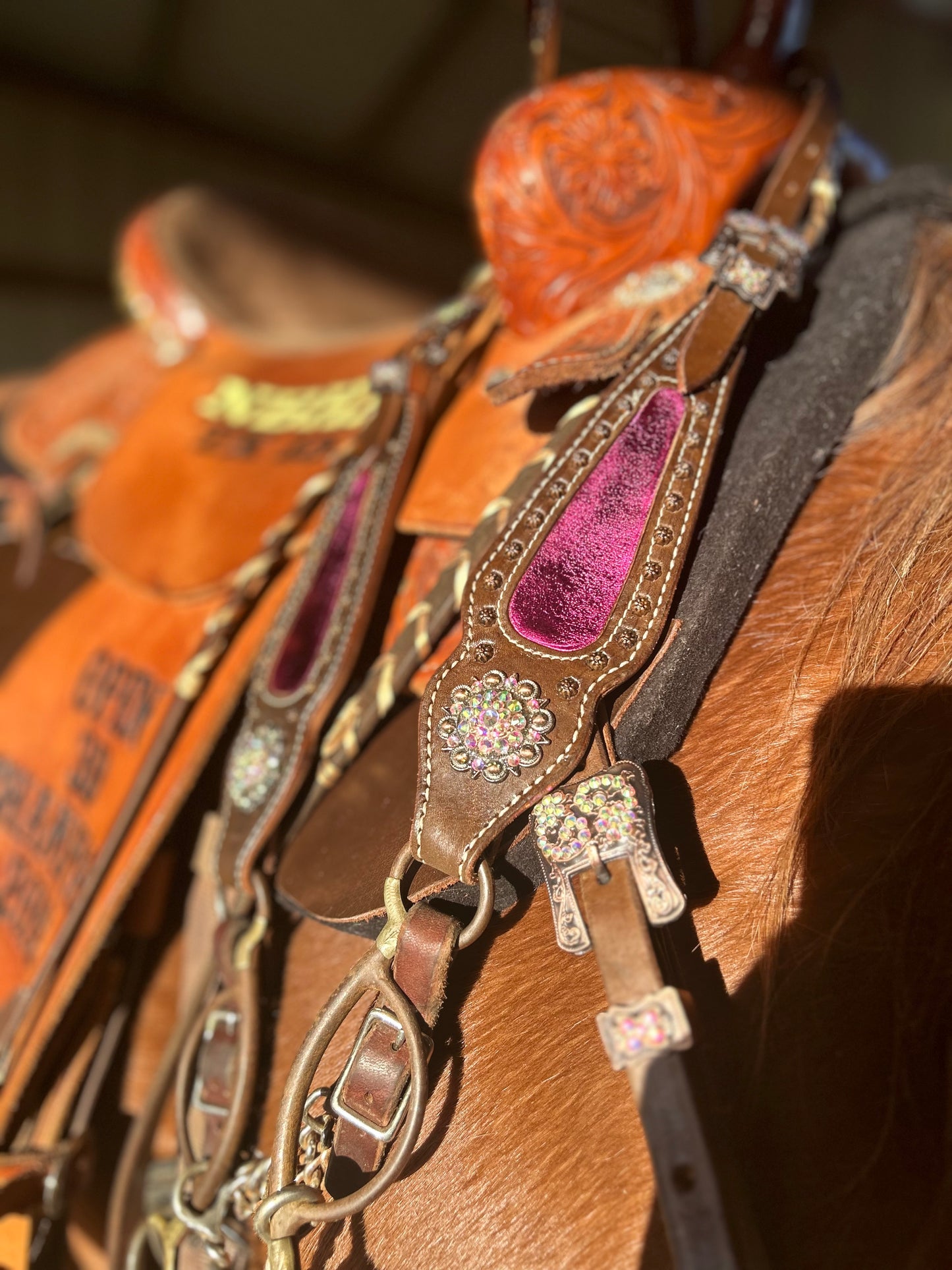 SmarTack Gen 2 "La Reina" Inlays - Headstall (Horse Size)