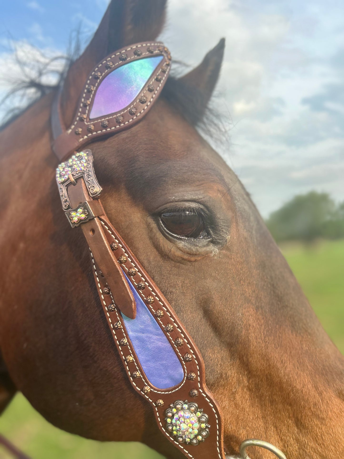 SmarTack Gen 2 "La Reina" Inlays - Headstall (Horse Size)