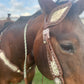 SmarTack Gen 2 "La Reina" Inlays - Headstall (Horse Size)
