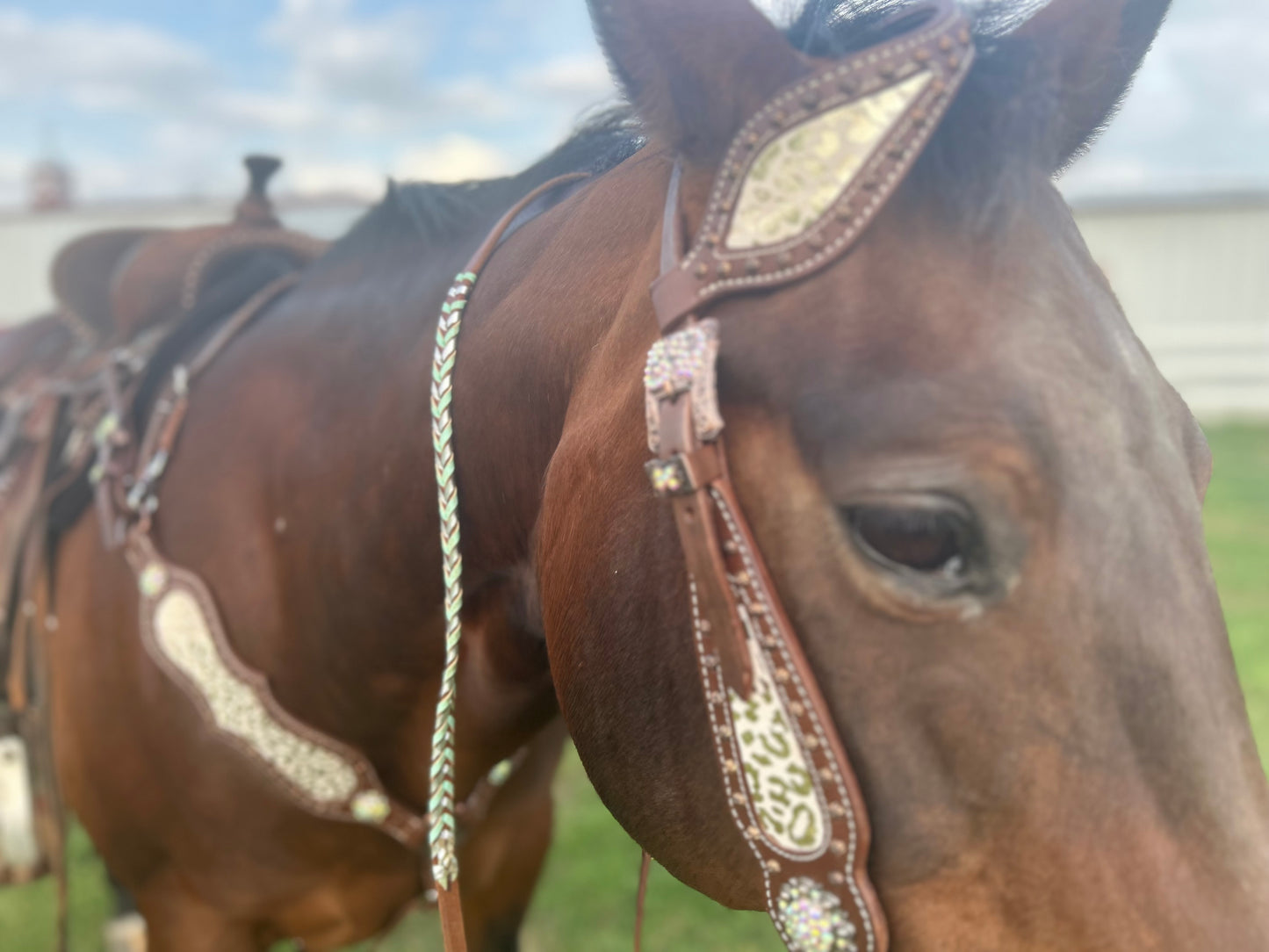SmarTack Gen 2 "La Reina" Inlays - Headstall (Horse Size)