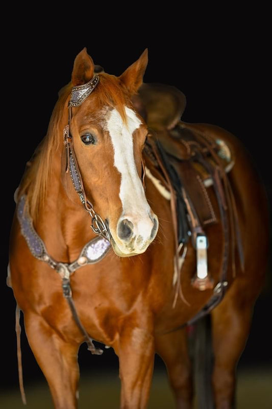 SmarTack Gen 2 "La Reina" - Complete Set Inlays (Breast Collar, Wither Strap, and One Ear Headstall)