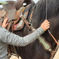 SmarTack Gen 2 "La Reina" - Complete Set Inlays (Breast Collar, Wither Strap, and One Ear Headstall)