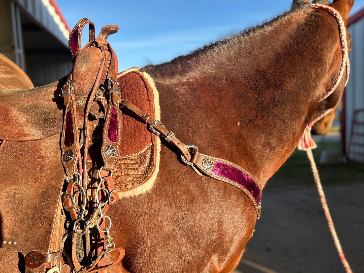 SmarTack Gen 1 Inlays - Headstall (Horse Size)