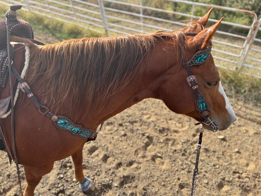 SmarTack Gen 2 "La Reina" Inlays - Headstall (Horse Size)